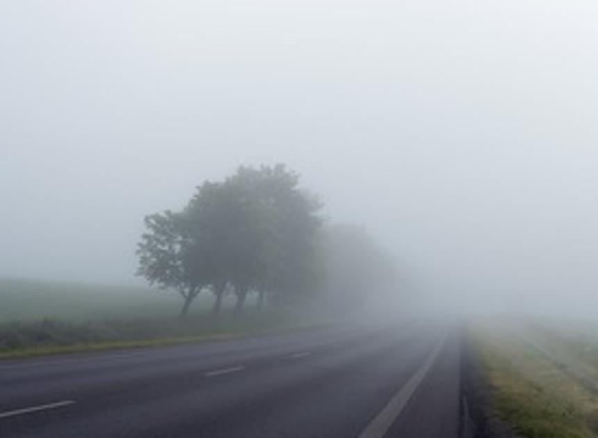 KMNI waarschuwt voor dichte mist in zuidoosten