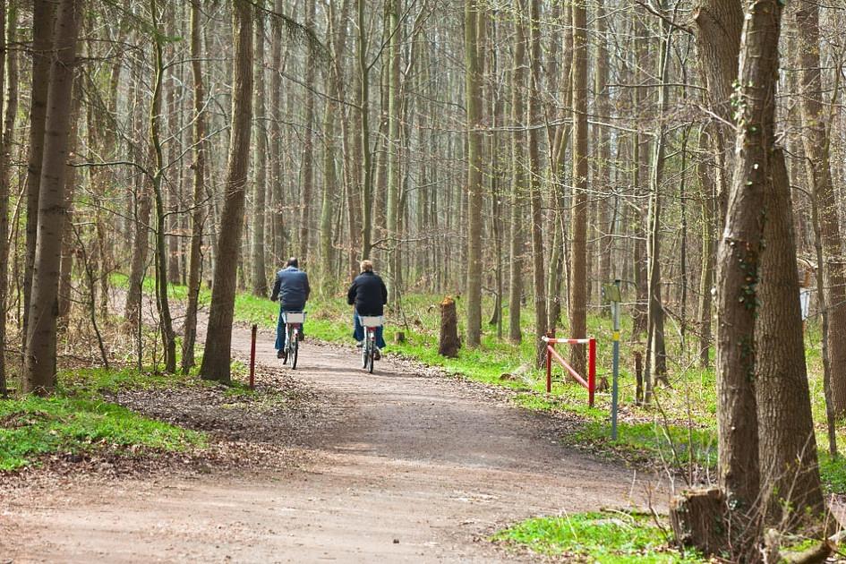 Fatale eenzijdige fietsongevallen onder 70-plussers toegenomen