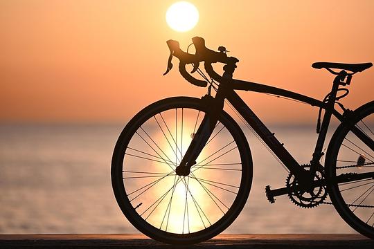 Racefietser omgekomen bij aanrijding in Lisse