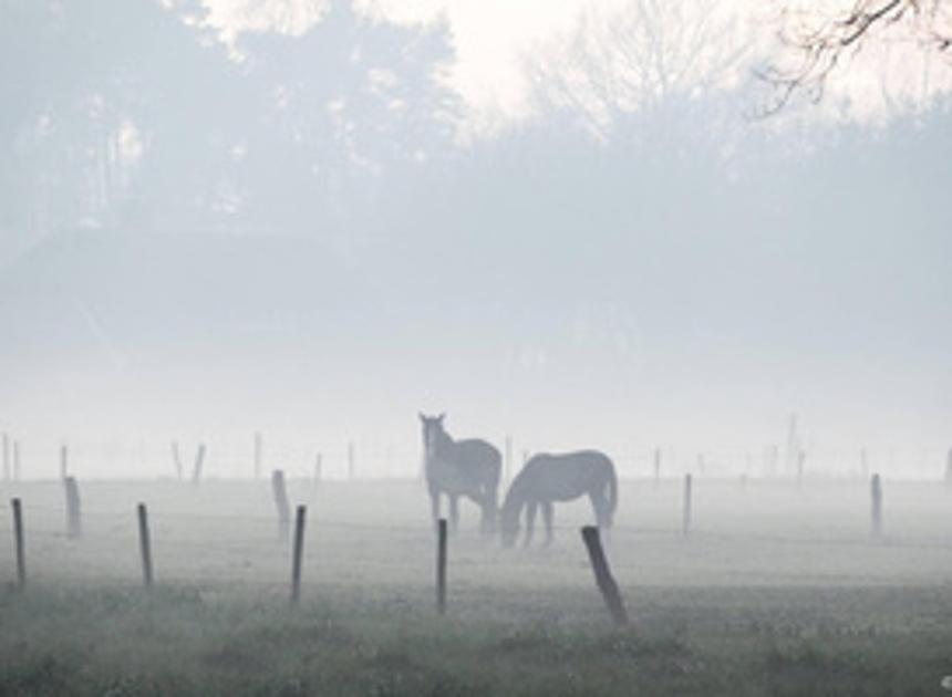 Code geel vanwege mist is weer ingetrokken