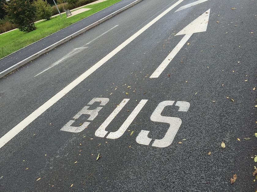 Meer reizigers en bussen in Zuid-Holland