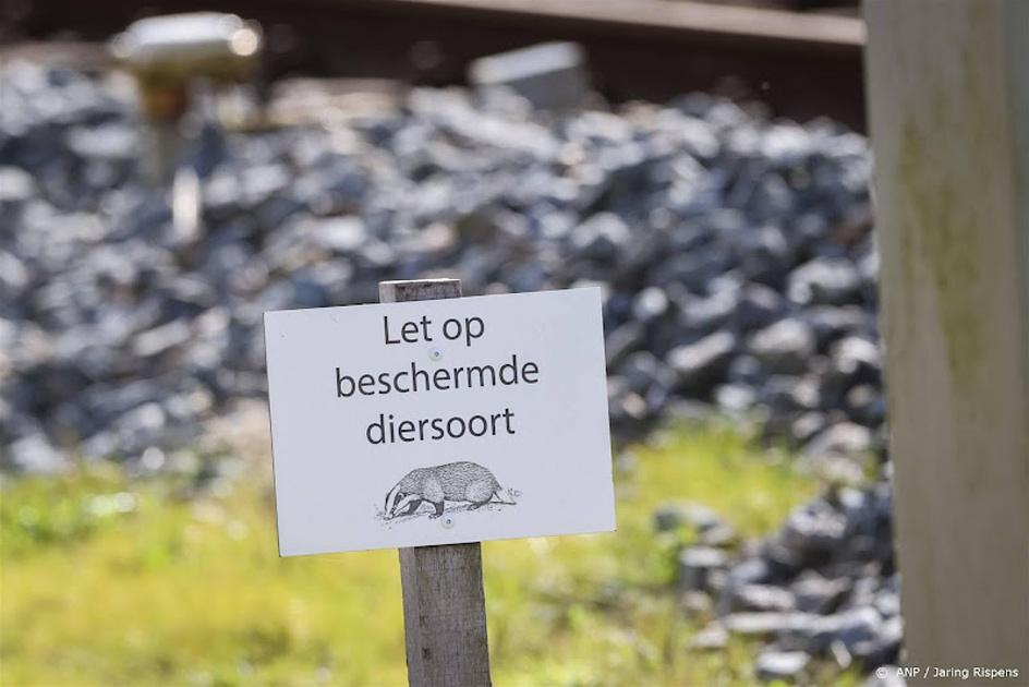 Das en Boom steunt wens ProRail in te grijpen bij dassenoverlast