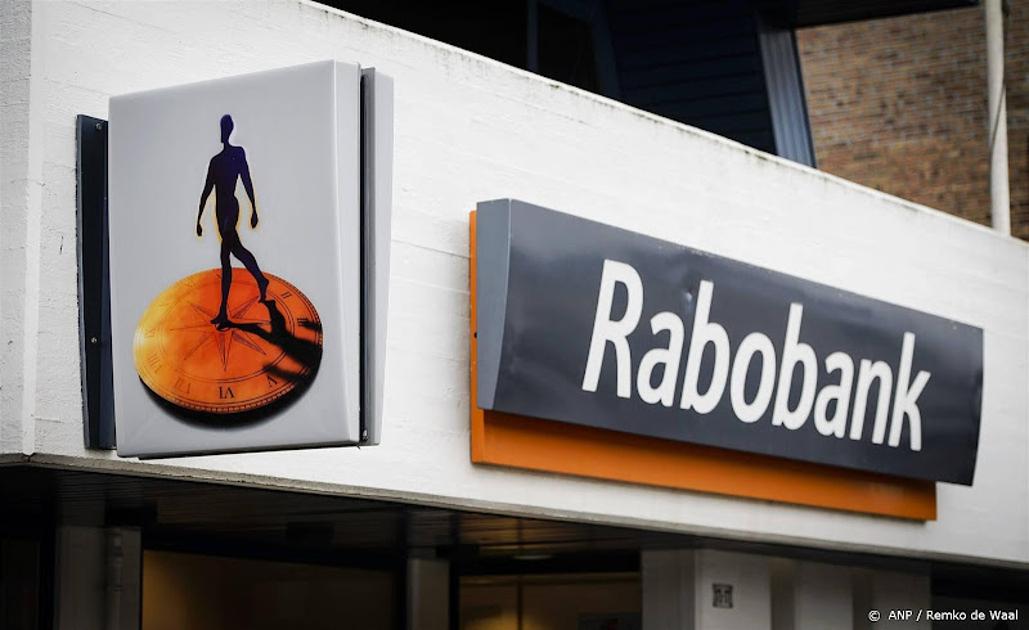 Laadpalenbedrijf Park 'n Charge krijgt 1,6 miljoen van Rabobank