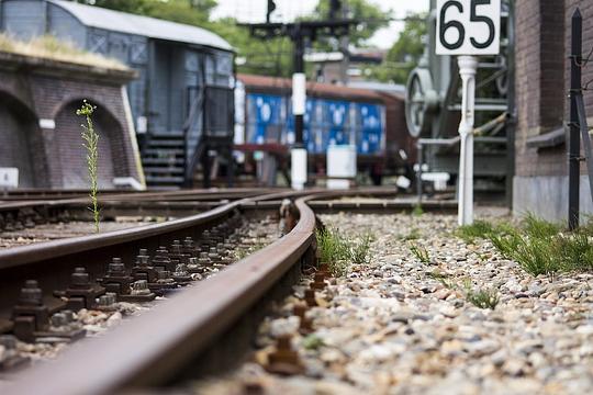 Bij de verkeersleidingsposten van ProRail in Groningen, Zwolle en Arnhem wordt er vrijdagochtend getaakt. Reizigers moeten de hele ochtend rekening houden met uitval van treinen en vertragingen. NS geeft het advies om kort voor vertrek het actuele reisadvies te bekijken. Medewerkers van ProRail hebben al meerdere keren gestaakt. Het treinverkeer in verschillende delen van Nederland raakte daardoor verstoort. Vakbond FNV eist een loonsverhoging, maar ProRail gaat daar niet in mee.