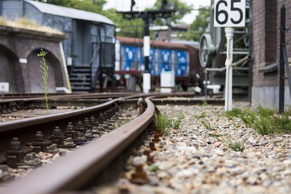 Bij de verkeersleidingsposten van ProRail in Groningen, Zwolle en Arnhem wordt er vrijdagochtend getaakt. Reizigers moeten de hele ochtend rekening houden met uitval van treinen en vertragingen. NS geeft het advies om kort voor vertrek het actuele reisadvies te bekijken. Medewerkers van ProRail hebben al meerdere keren gestaakt. Het treinverkeer in verschillende delen van Nederland raakte daardoor verstoort. Vakbond FNV eist een loonsverhoging, maar ProRail gaat daar niet in mee.