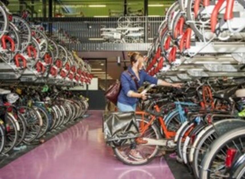 Bosbeleving in fietsenstalling station Delft