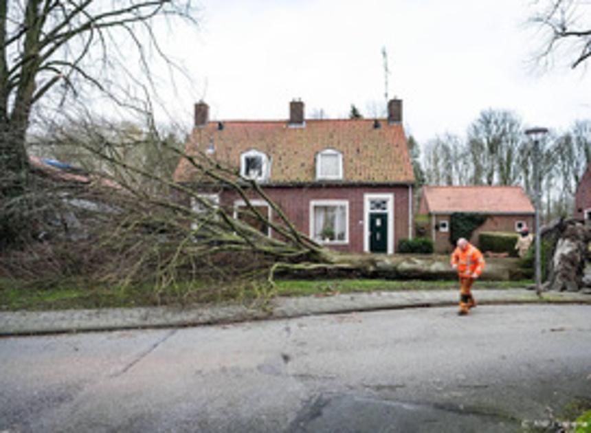 Al flink veel schademeldingen door storm Dudley