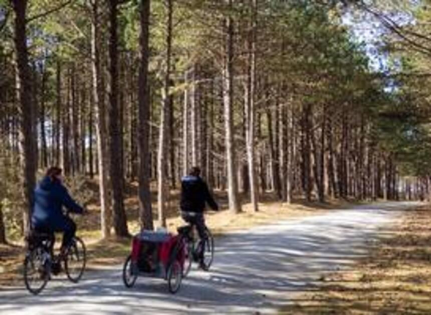 Recreatieve fietsers gaan veel vaker een stuk fietsen dan vijf jaar geleden