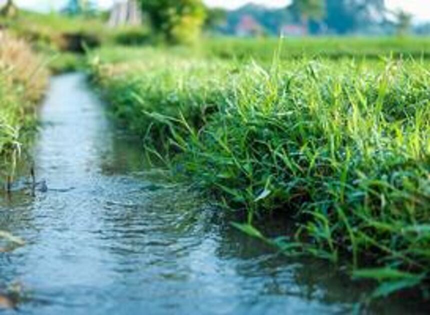 Havens en scheepvaart in Nijmegen lijden onder lage waterstand