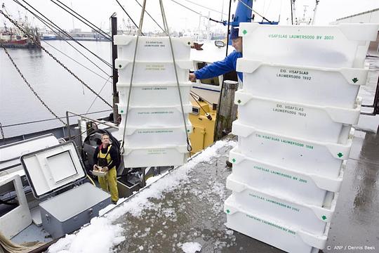 Opnieuw verlies voor Nederlandse kottervisserij