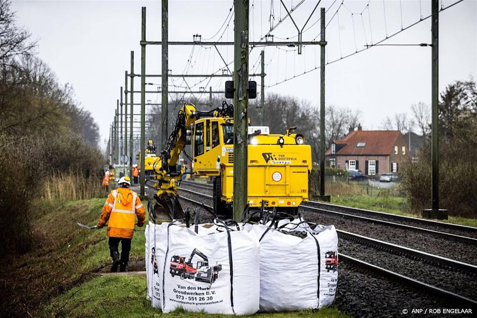Treinverkeer Den Bosch - Boxtel hervat na overlast door dassen