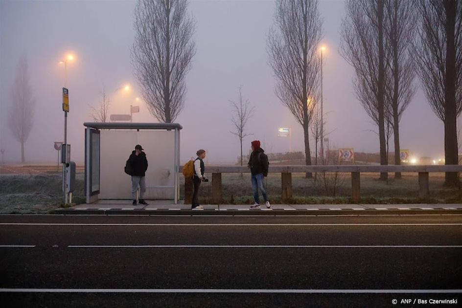 Niet 50 maar 75 procent van de dienstregeling rijdt niet, stelt FNV