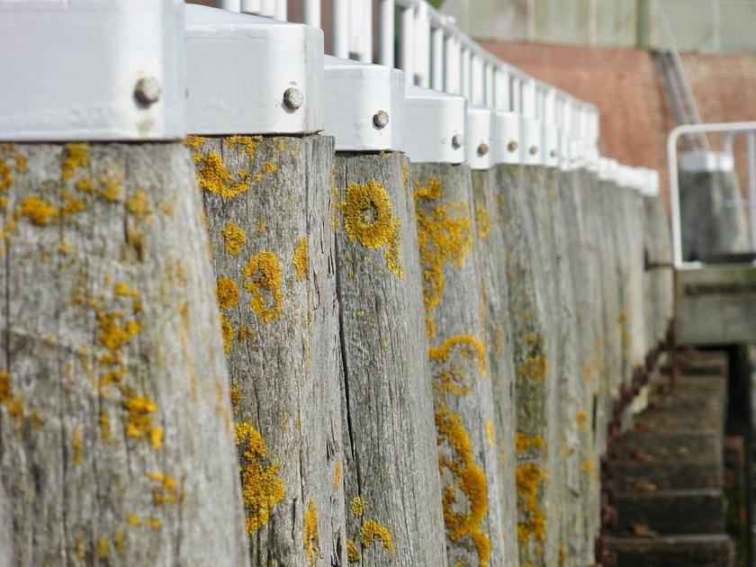 Douane onderschept 54 kilo cocaïne in haven Vlissingen