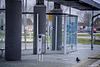 Provincie Brabant trekt drie miljoen euro extra uit voor toegankelijkere bushaltes