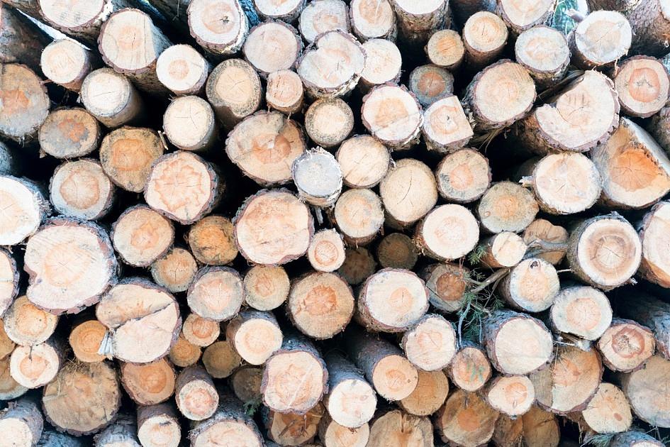 'Nederlandse import grondstoffen draagt bij aan ontbossing'