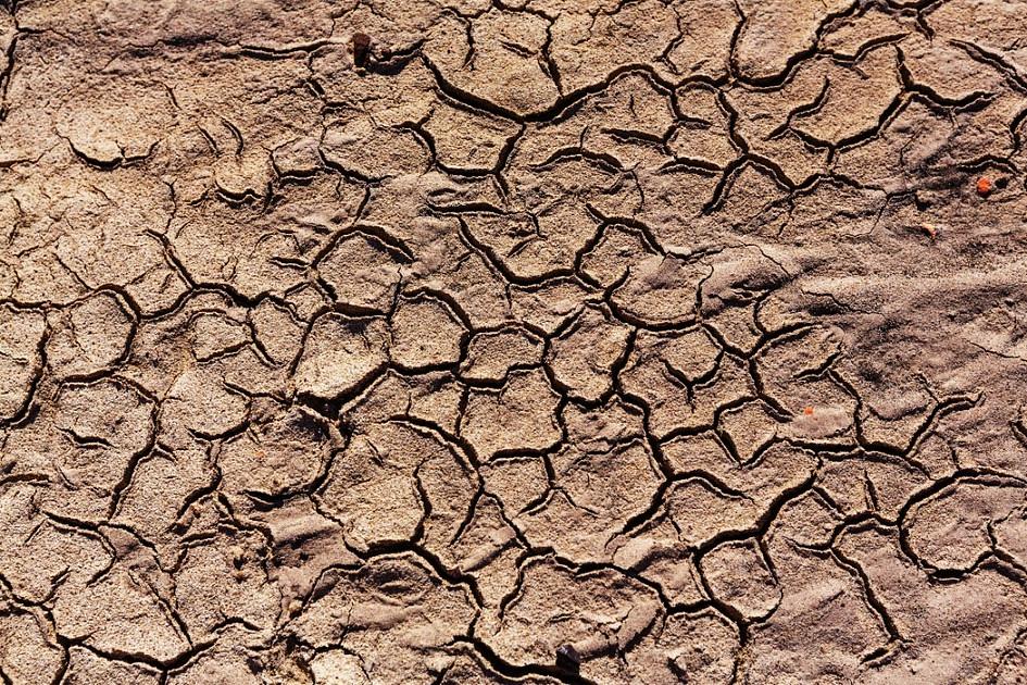 Eerste noodmaatregelen tegen droogte zijn geschrapt