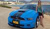 Blikvangers: deze 24-jarige vrouw heeft een Ford Mustang V6 Coupe Premium : 'Mensen verwachten geen vrouw in zo'n auto'