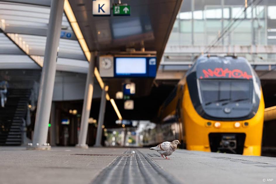 ProRail: meer ernstige verstoringen op het spoor