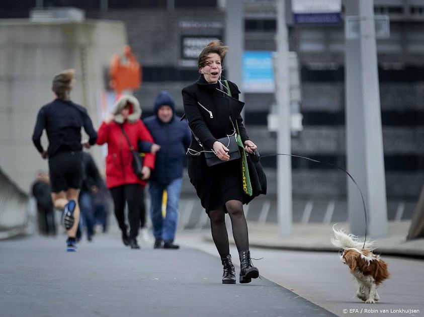 Donderdagochtend code geel in het westen vanwege harde wind