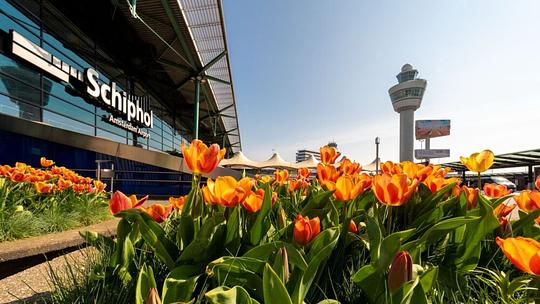 Busstation Schiphol gaat op de schop - Beeld: Schiphol