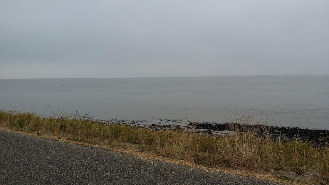 Herstelwerkzaamheden Hoeckelingsdam volgens natuurlijke principes