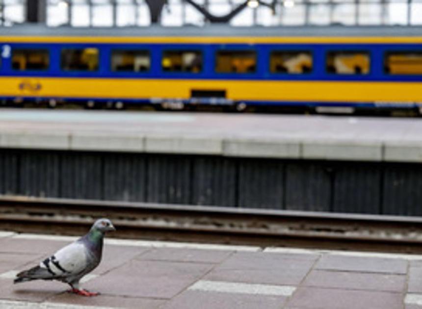 Minder rijdende treinen in hele land vanwege staking NS-personeel N-Holland