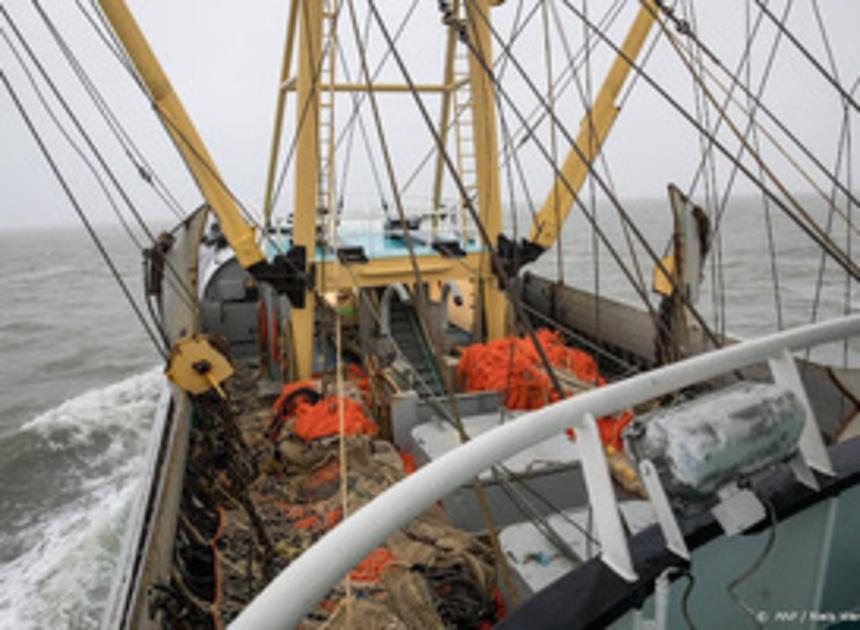 Nederlandse visserij zal komende jaren flink krimpen