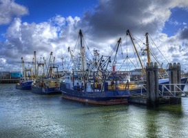 Ondanks vermoedens weinig zicht op criminaliteit in Noordelijke zeehavens