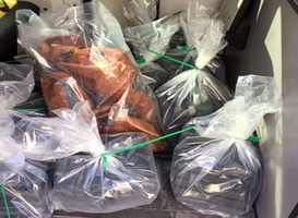 Douane onderschept 88 kilo cocaïne in lading druiven