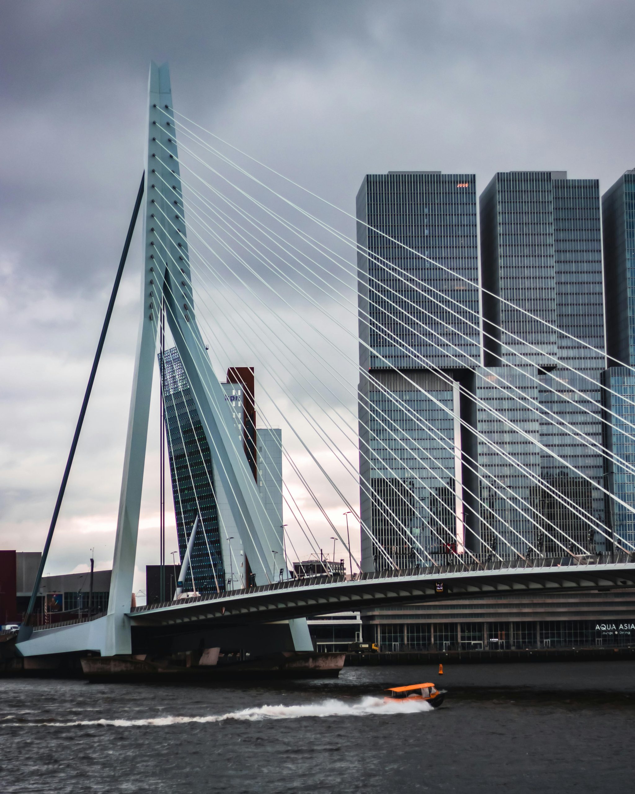 Erasmusbrug Rotterdam