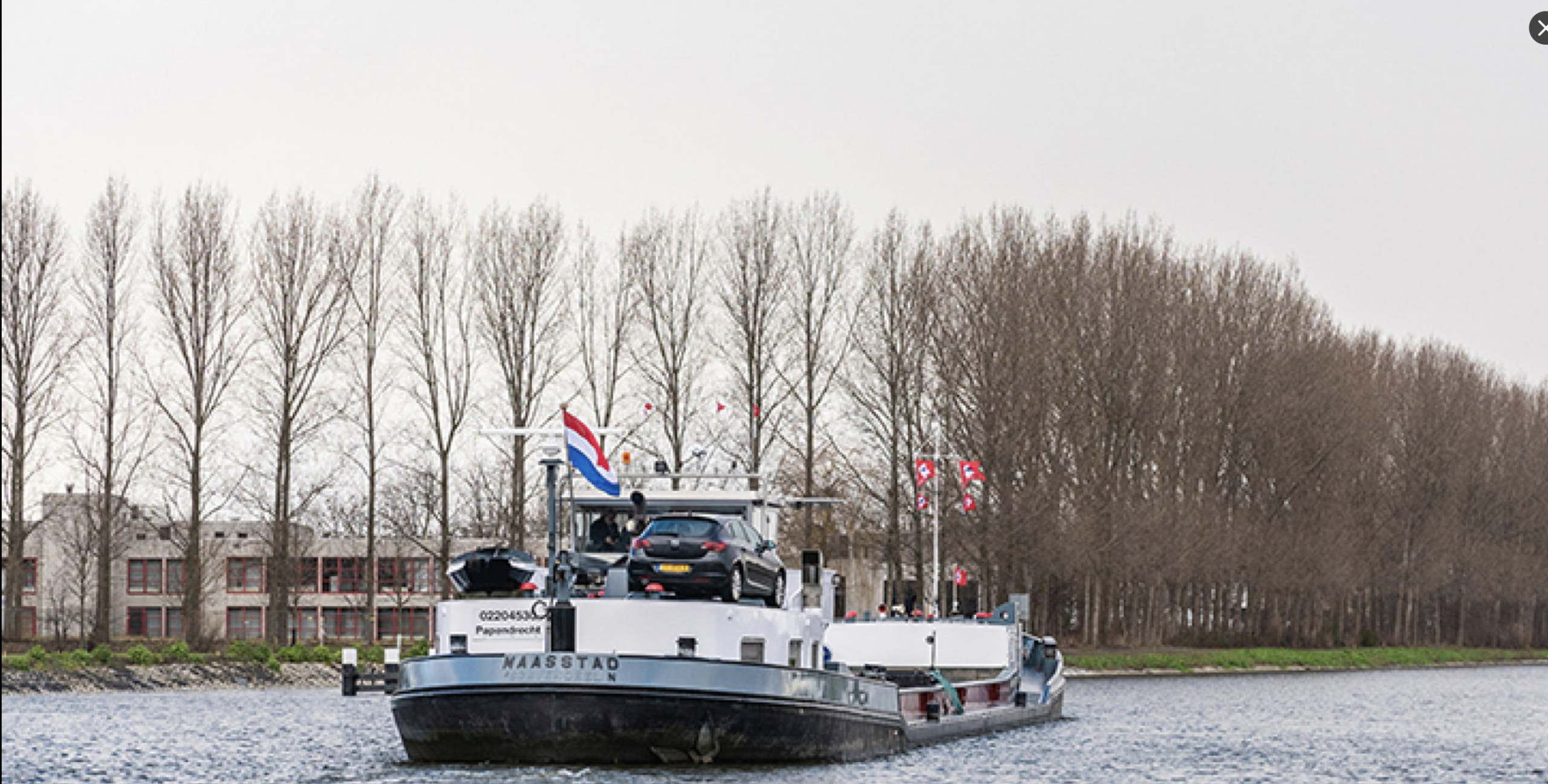 schie delft