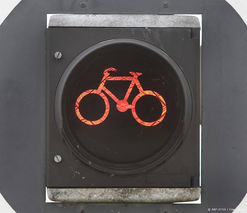 Fietsmerk Cangoo roept bakfietsen terug om kans op framebreuk